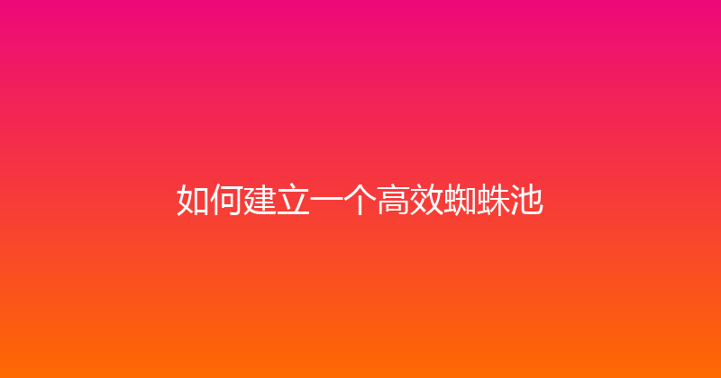 如何建立一个高效蜘蛛池 封面图