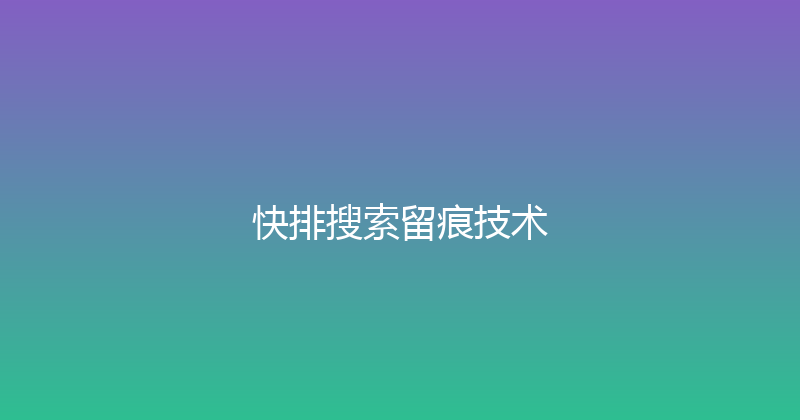 快排搜索留痕技术 封面图