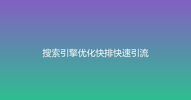 搜索引擎优化快排快速引流 封面图