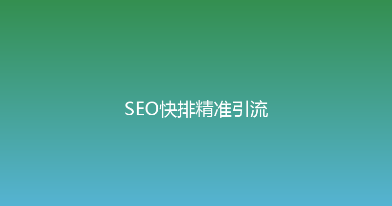 SEO快排精准引流 封面图